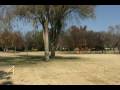 videos de golf ball 1