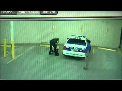 homeless woman jail - Footage first obtained by FOX 13 shows a Tampa police officer hauling a homeless woman around like a rag doll -- literally dragging her off to jail. That off...
