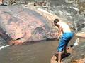 videos de natural trilhas banho de rio com alunos de miracica.ASF