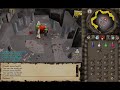 Denewet - Paashaas110