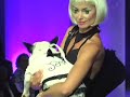 Pet Fashion Week New York 2007