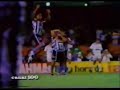CANAL 100 - O GLORIOSO BOTAFOGO - O time de 1995