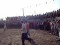 toros de sancti-spiritus(badajoz)