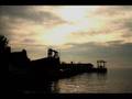 Binocular - Never