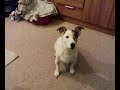 Cody still grumbling