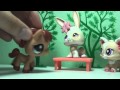 Littlest Pet Shop: The Seven Stages of Breaking Up