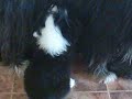 Llana en su lado m�s tierno
