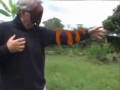 Kozmo Mimzi meets a shapeshifter (animation)
