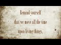 YouTubeサムネイル[ABOdm2-rLlw] - 2枚目