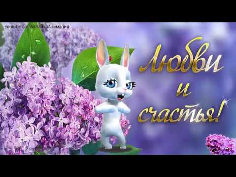 Сладкое пожелание парню Сладкое пожелание парню