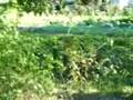 videos de 14 Septembre 2008