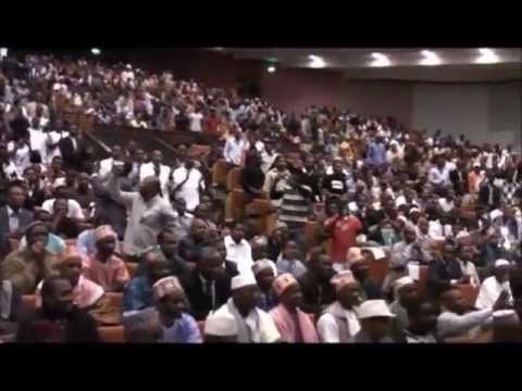 Cellou: Dalein à Bruxelles [1/2] 