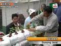 Strawbery di G.Jerai