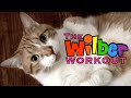 The Wilber Workout (Episode 3)