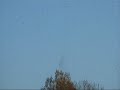 Lough Neagh Fly Swarms