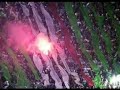 o amor e verde