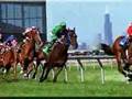 Horse Racing-The Best Sport Ever!
