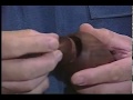 The Finial Box with Ray Key
