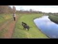 videos de Blue and Marley