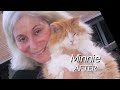 Stray Cat Video Stray Cat Video