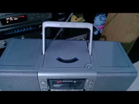 動画