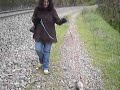 Farken the Ferrets Big Adventure Farken the Ferrets Big Adventure