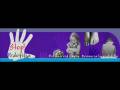 videos de especial noviembre