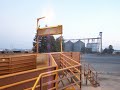 Holmgren Rawhide Ranch_Escalon Cattle Sale.MOV