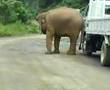 gajah mengamuk