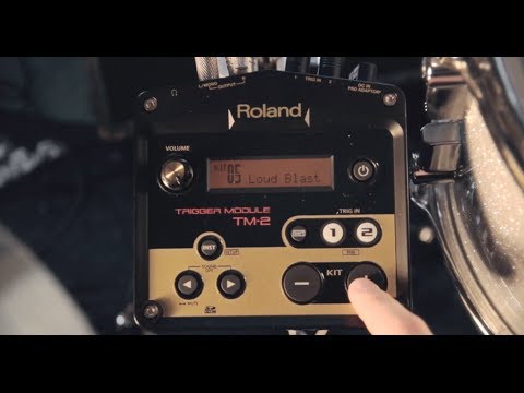 Roland TM-2 Trigger Module Roland TM-2 Trigger Module