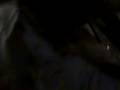 videos de 31-10-08 2310
