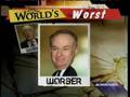 Countdown: Worst Person July 24, 2008