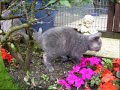 Sofies Litter 08