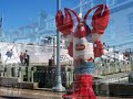 Halifax Real Estate - Halifax, Nova Scotia: Picture Perfect