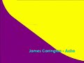 James Carrington - Ache James Carrington - Ache