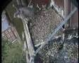 Derby Peregrine Falcon 12 - Fledge from the Ledge