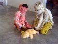 Swat girl flogging beating