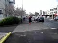 can a bird steal chips   get away with it?