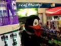 can a bird steal chips   get away with it?