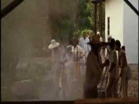 slaves working on a sugarcane plantation