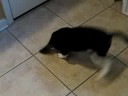I demand more supper! I demand more supper!