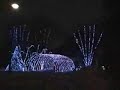 \"Lindsay Lights\" in Thornhill (2007)
