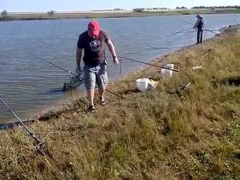 рыбалка в замостье черниговский район запорожская область рыбалка в замостье черниговский район запорожская область