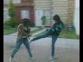 pelea aniime