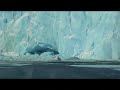 desprendimiento glaciar perito moreno