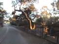 After the Fire: A tour of the fire damage - East Mountain Drive and the Tea Garden Property