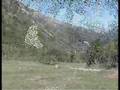 Despegue a motor