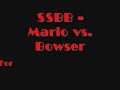 SSBB - Mario vs. Bowser