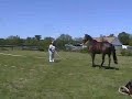 Circling Game with Pete! Circling Game with Pete!