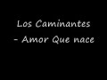 los caminantes – Amor que nace